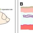 임지연의원 이미지