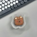 [8월 셋째,넷째주] 가히 멀티밤 / 불당동 춘희 / 화이자 2차 접종 / 300일 기념일 / 꽃다발 / 애플워치...
