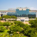 편백산림욕장 진입로 이미지