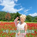 11545-03-21-18 | 가평 자라섬 남도 꽃정원 꽃축제 입장료 주차장 실시간 후기