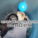 물탱크 청소 명성토탈환경 부산 동래구 온천동 물탱크 청소