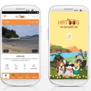 하트애견 이미지