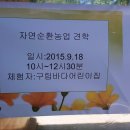 구립영은어린이집