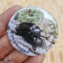 충주자연생태체험관(지하1) | [아이랑여행] 생태감수성을 배워요, 충주 아이와 가볼만한 곳, 충주자연생태체험관 탐방기