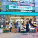 청과야채
