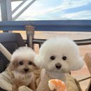 파도횟집 이미지