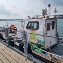 왜목마을좌대낚시터 이미지