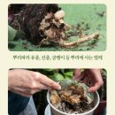 키퍼농원