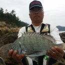 약산대물낚시