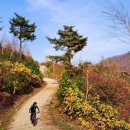 【라이딩후기】滿秋의 양주 도락산 돌아~ 장흥임도.남경수목원의 단풍숲길 그림들~하나 이미지