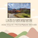 내장산 생태탐방원 A타입 4인실 후기 주변 맛집 잭아저씨족발보쌈 정읍수성점
