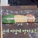 김밥샌드 티스토리