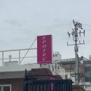 [성인 취미 피겨] 스포텍 대관 후기