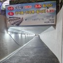 노량진 회는 여기! 노량진수산시장 충남집 후기
