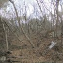 녹산농원 이미지