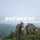 오색온천장 | 여름 계곡산행 흐린날편, 설악산 흘림골 등산후기 (흘림골 ~ 오색 코스)