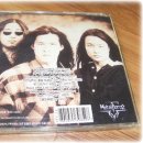 백야자연휴양림 이미지