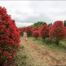 해선농장 이미지