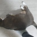 슬루디 이미지