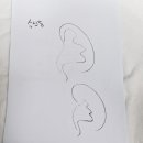 백민기아이사랑비뇨의학과의원 이미지