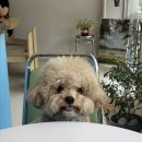 리프레쉬룸