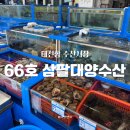 대양수산 | 대천항 수산시장 66호 삼팔대양수산 내돈내산 조개 구매후기