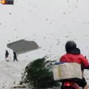 자장면시키신분 이미지