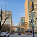 GS삼숭자이 이미지