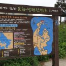 용정포횟집 이미지