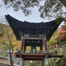 보령청과 이미지