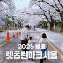 롯데리아의왕오전 | [공지] 이번 주말이 마지막! 과천 렛츠런파크 벚꽃 실시간 상황🌸 아이랑 다녀온 생생후기