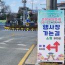 국화 | [충남 부여] 부여 국화축제 후기!