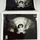 김숙희여성의원 이미지