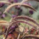 선동초등학교병설유치원 이미지