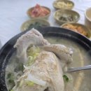 삼복삼계탕추어탕