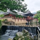 순천만습지2_안내소 오른쪽 함체_#1 | 순천 뚜벅이 여행의 꽃 시티투어 생태투어 후기