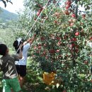 용계(당그래) 이미지