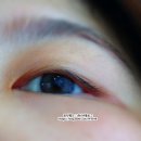 광주 북구 운암동 속눈썹 연장, 펌 전문 탑퀄래쉬 속눈썹펌