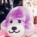 보니 이미지