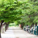 예림초등학교 이미지