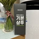 약산성샴푸 모루션플러스 기본샴푸