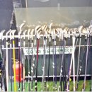 월드휘트니스 이미지