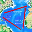 트라이앵글럼 이미지