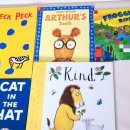 레고닥터A 이미지