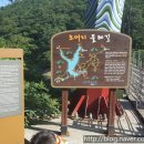 오어사특산물 이미지