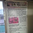팔미옥 | 내돈내산 후기! 수원역 한우 맛집 특수부위 전문점 팔미옥 매산동 :: 식객 허영만의 백반기행 TV방영