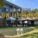 모래내행복마을 | 강릉애견펜션 [강릉 나인원 펜션], 강릉애견동반 숙소 후기