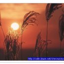 수7080 - 논산시 계백로140번길 6 | 수7080