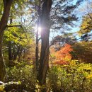 가지산공인중개사사무소 이미지