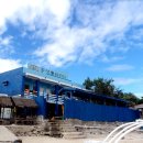 안면테니스 &amp; 골프리조트 | 세부 막탄 오션플레이어 오픈워터 후기